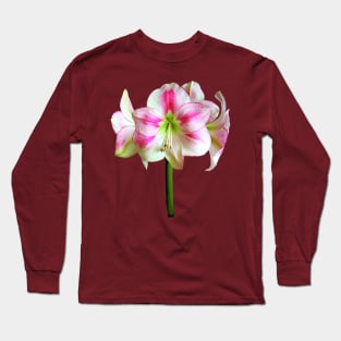 Pink and White Amaryllis Long Sleeve T-Shirt